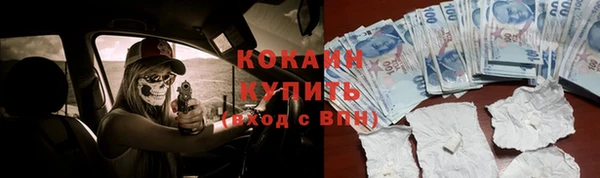 ПСИЛОЦИБИНОВЫЕ ГРИБЫ Белоозёрский