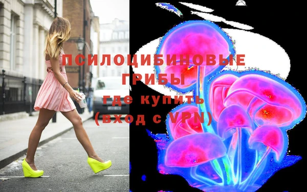 ПСИЛОЦИБИНОВЫЕ ГРИБЫ Белоозёрский