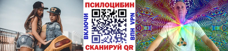 наркота  Тулун  Галлюциногенные грибы Cubensis 